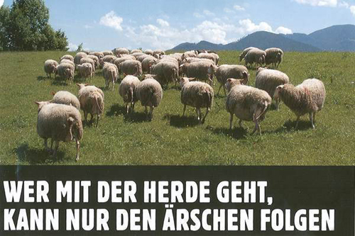 Herde
