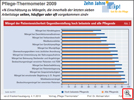 Pflege-Thermometer 2009