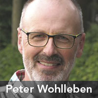 Peter Wohlleben