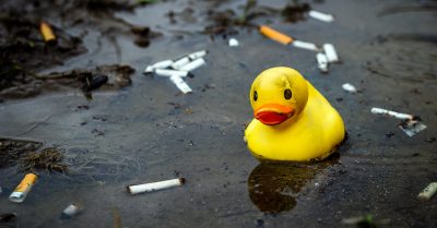 Umweltschäden durch Tabakrauchen