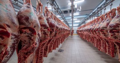 BILD, SPIEGEL und die verlorene Ehre des Clemens Tönnies