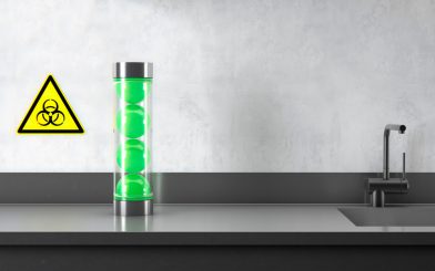 Vom Talent, sich dumm zu stellen. Von Michael Ewert