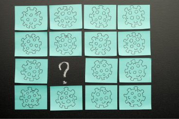 Wenn die Herrschenden den Stier an den Hörnern packen und die Linke nicht einmal den Stier sieht