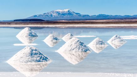 Bolivien nach der Amtsübernahme Luis Arces – Die Szenerie und die Akteure des Lithium-Krimis