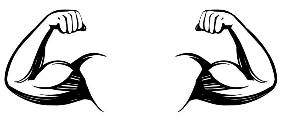 Die Schwachen bleiben auf der Strecke, die Starken gewinnen. Das nennt man natürliche Auslese