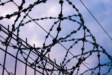 Bereitschaft zur Diktatur