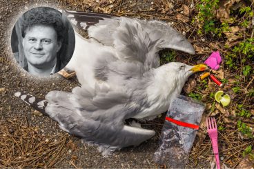 Ausgerottet – Die Weltnaturschutzkonferenz 2021 in Kunming