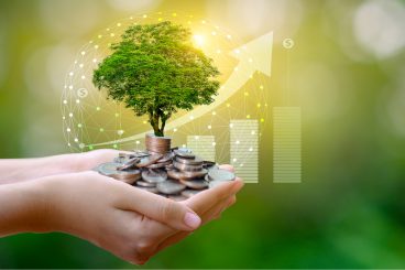 Ökofonds – notwendiger Klimaschutz oder Akt kollektiver Selbsttäuschung?