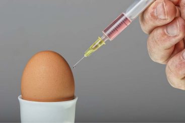 Das ethische Gentech-Ei