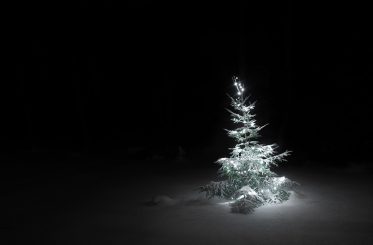 Als wir mit dem Herrn Baron Weihnachten feierten