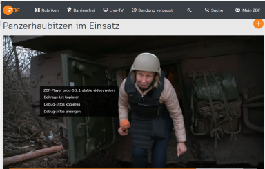 Über den jämmerlichen Zustand unserer Medien (1)