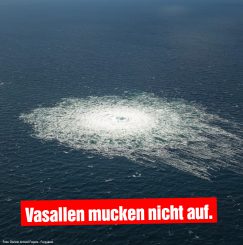 Vasallen wehren sich nicht
