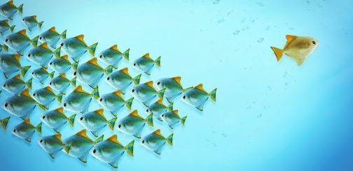 Lasst uns „umstritten“ sein!