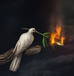 Wer solche „Friedensforscher“ hat, braucht keine NATO-Sprecher mehr