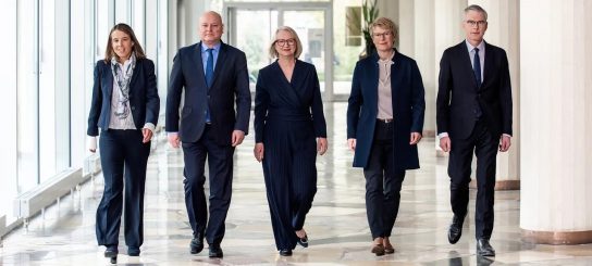 Die fünf Wirtschaftsweisen – Politikberatung nach der Vogel-Strauß-Methode