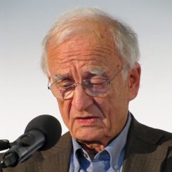 Die Rolle des Internationalen Gerichtshofs im Gaza-Krieg