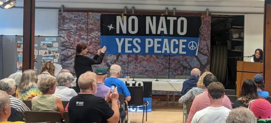 NATO-Gipfel in Washington: Expansion und Eskalation