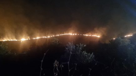 Südlibanon: Verbranntes Land