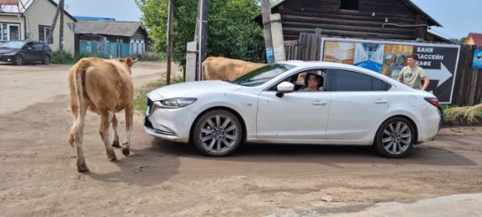 Eine Welt-Anschauung: Fast drei Wochen durch Sibirien