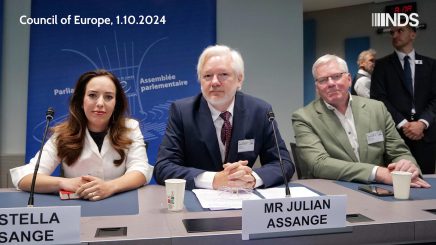 Julian Assange im Europarat: „Um frei zu sein, musste ich mich des Journalismus schuldig bekennen“
