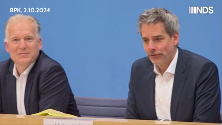 Europarat stuft Julian Assange als „politischen Gefangenen“ ein – Was sagt die Bundesregierung?