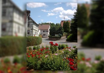 Brief einer Großmutter an ihre Kinder und Enkel zur Wahl