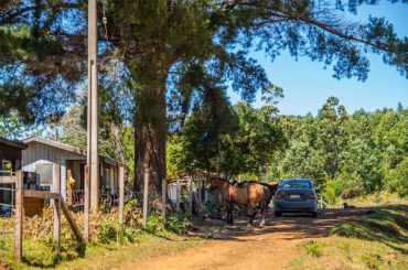 Chile in Aufruhr: Ist ein Großgrundbesitzer deutscher Herkunft für das Verschwinden einer Mapuche verantwortlich?