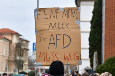 AfD-Verbotsdebatte: Man muss die Ursachen und nicht die Symptome bekämpfen
