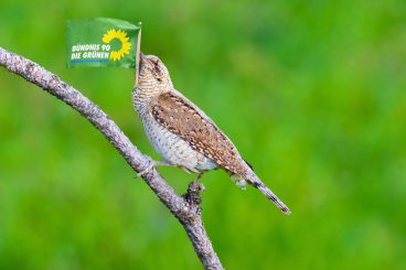 Waschechte Demokraten! Und ein Politikzirkus in bester Verfassung