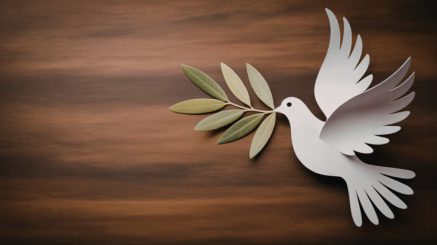 Die Tauben müssen aufwachen – bevor es zu spät ist