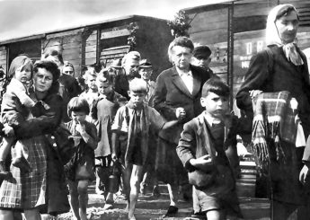 Leserbeiträge „Erinnerungen gegen den Krieg“ – Aufruf zum 8. Mai (22)