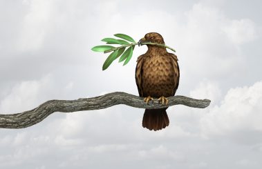 Außenpolitik und Demokratie – Ein Widerspruch?